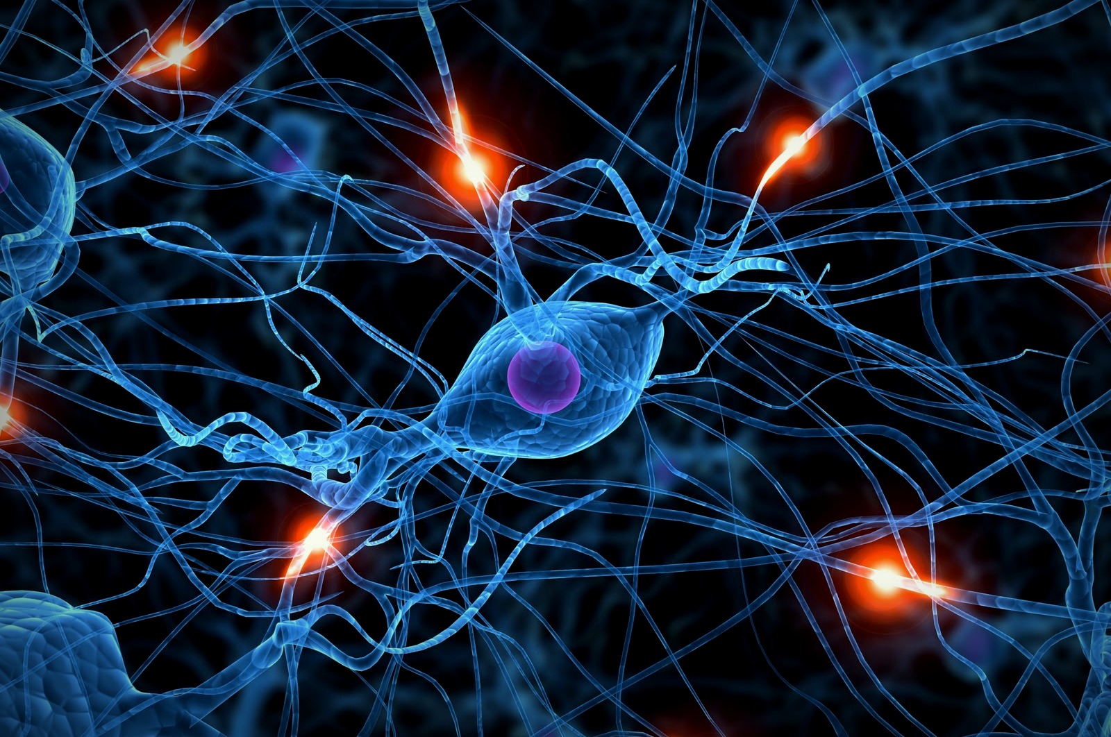 All You Need To Know About Testosterone and Estrogen
