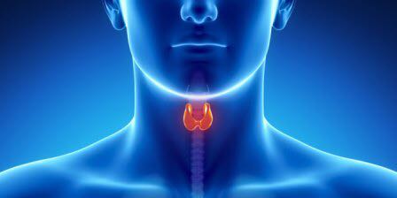 Thyroid Disorder Explained: A Health Analysis